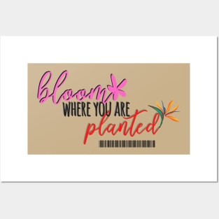 Bloom where are you planted Posters and Art